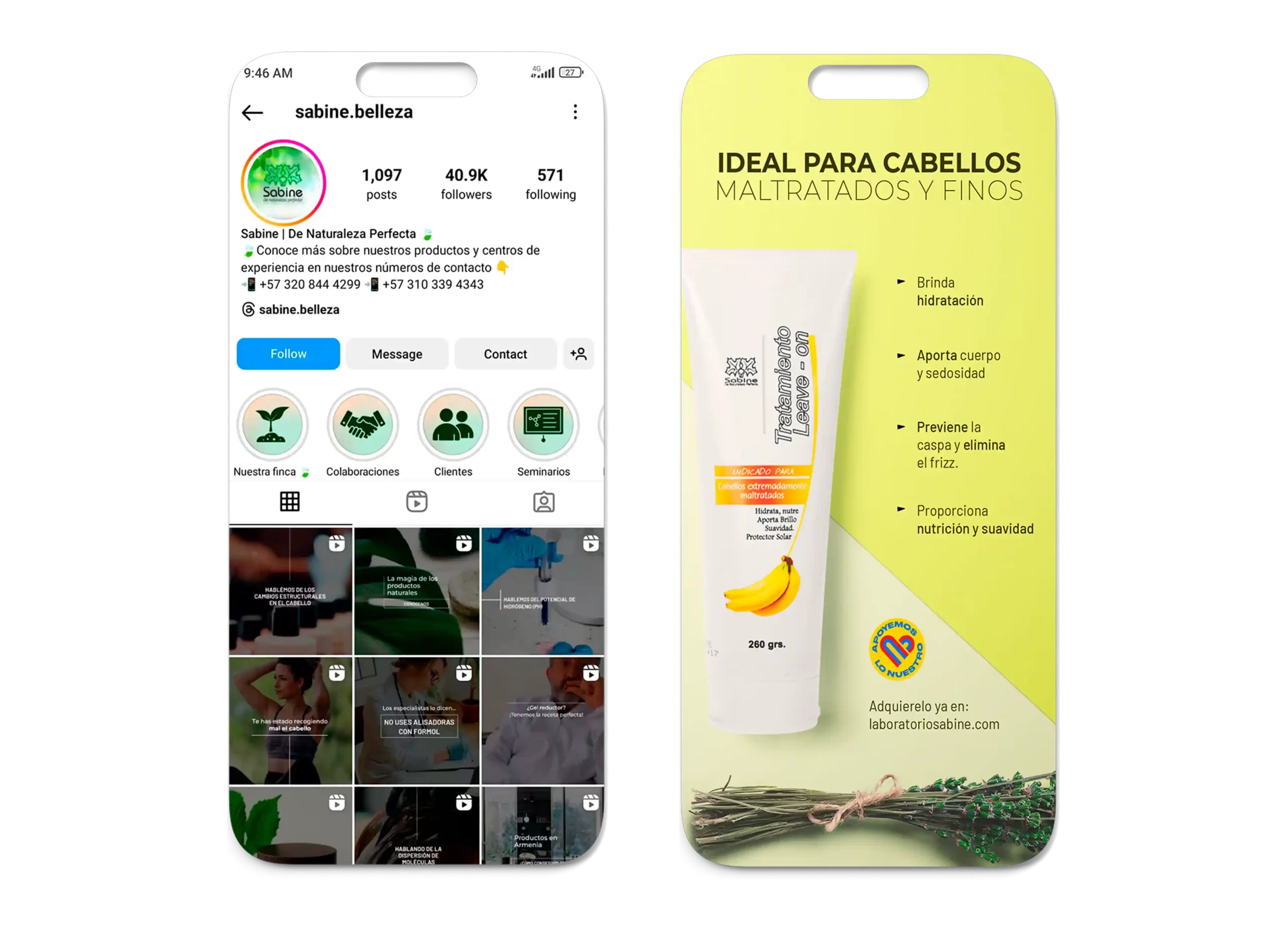 Marca y Contenido Laboratorio Sabine